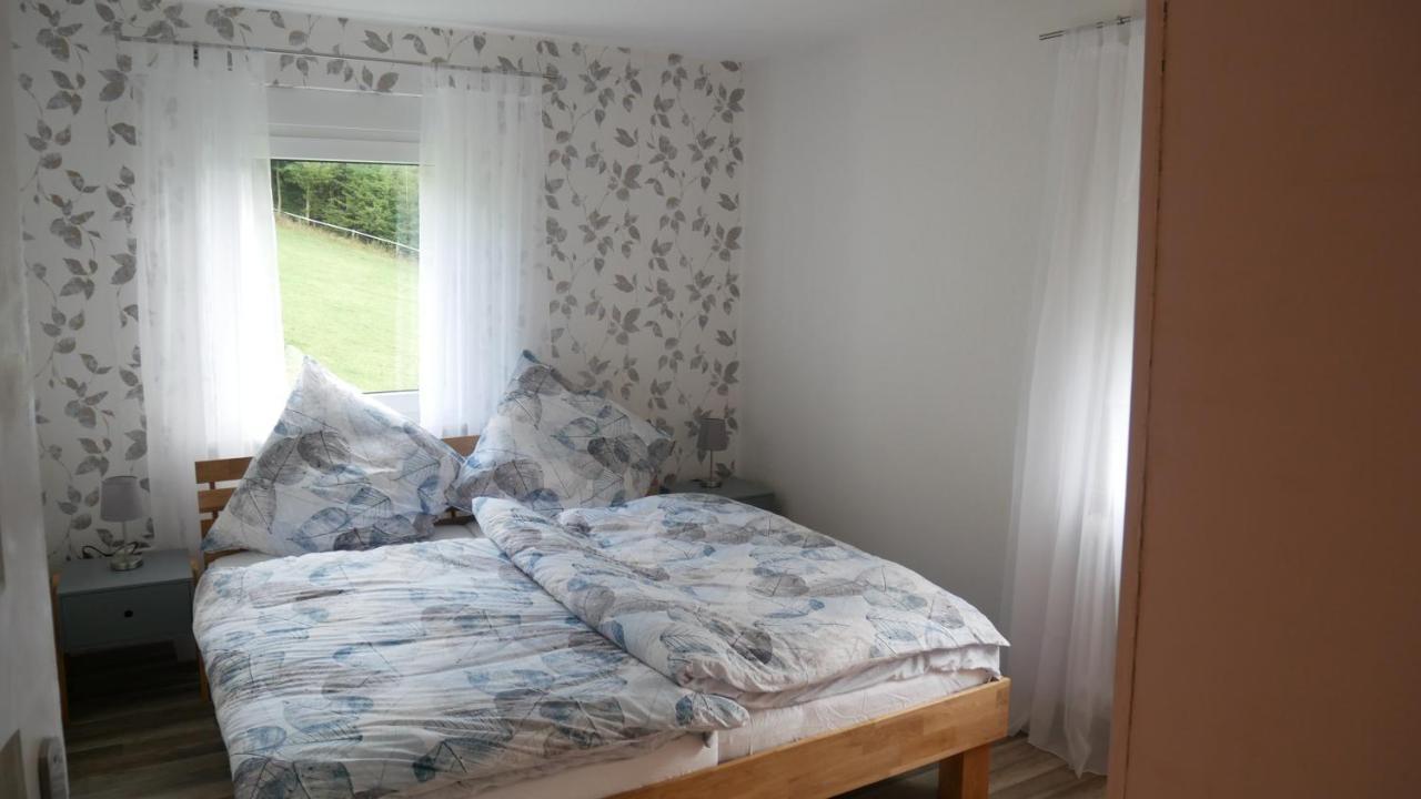 Modernisierte Ferienwohnung Im Schoenen Sauerland Meschede Exterior photo